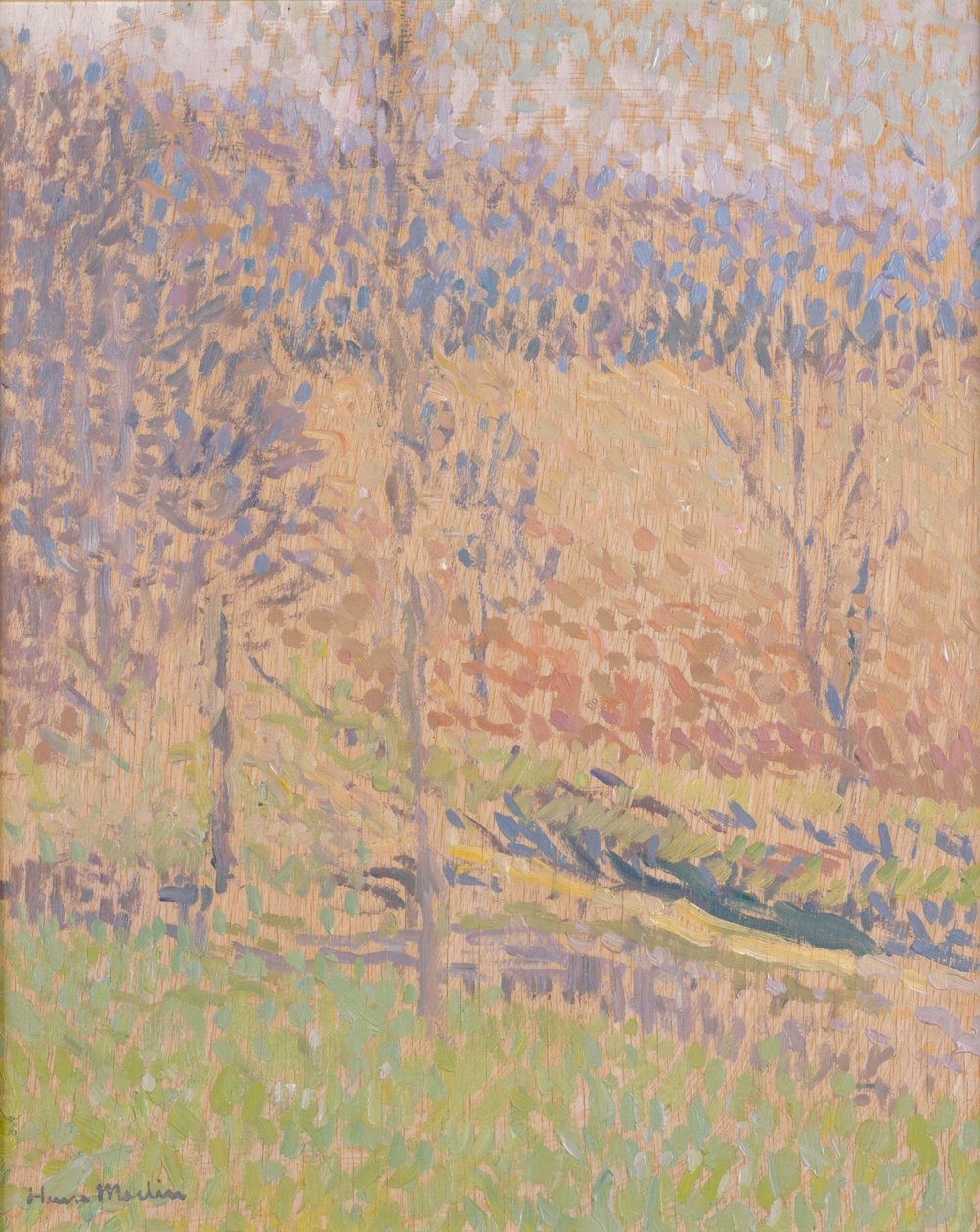 Sumussa, n.1890-1910 tekijältä Henri Martin