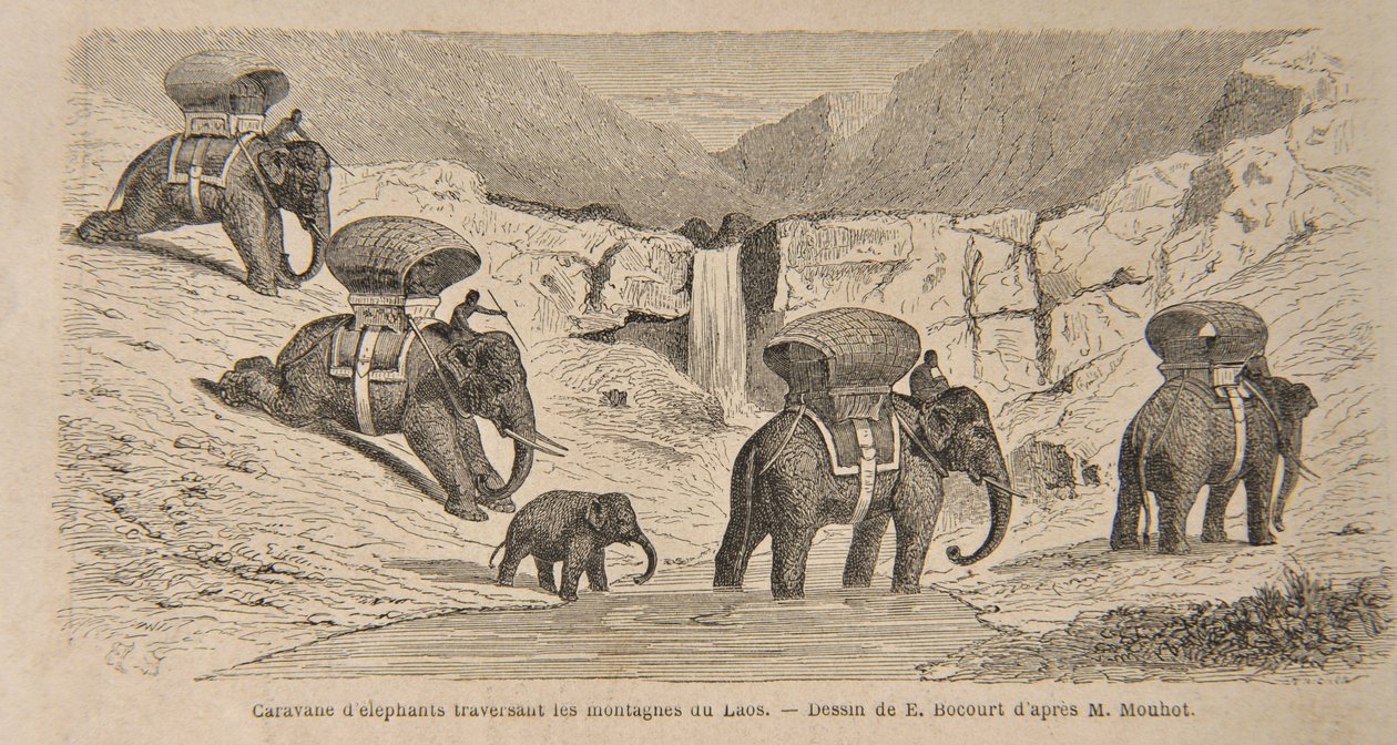 Elefanttien karavaani ylittämässä Laosin vuoria, E. Bocourtin painatus, kuvitus julkaisusta "Matkat Indo-Kiinan (Siamin), Kambodžan ja Laosin keskiosissa vuosina 1858, 1859 ja tekijältä Henri Mouhot