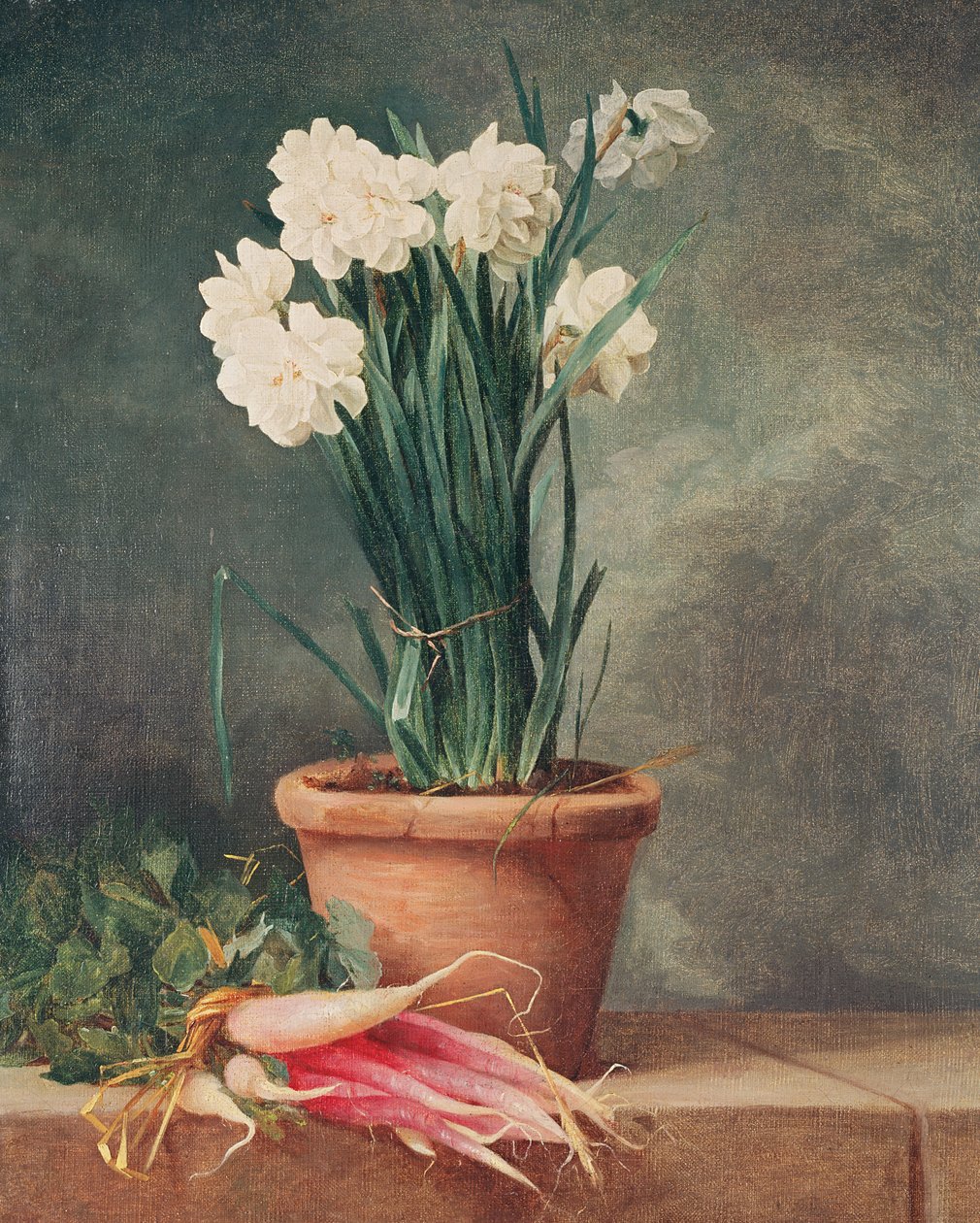 Narcissus and Radishes  tekijältä Henri Roland de la Porte
