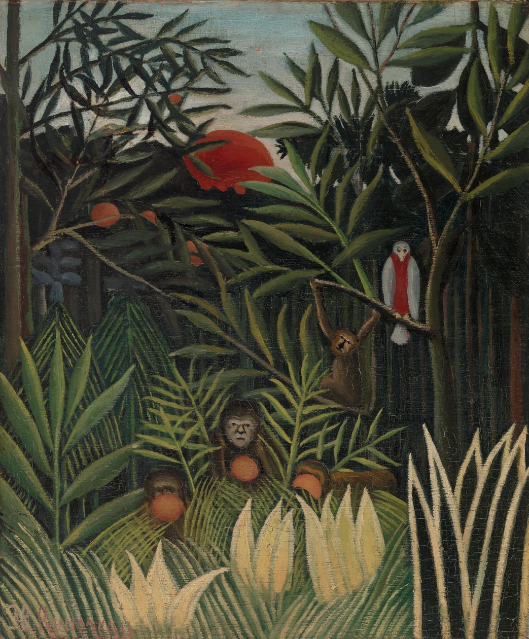 Apinat ja papukaija Neitsytmetsässä (Singes et perroquet dans la forêt vierge) tekijältä Henri Rousseau