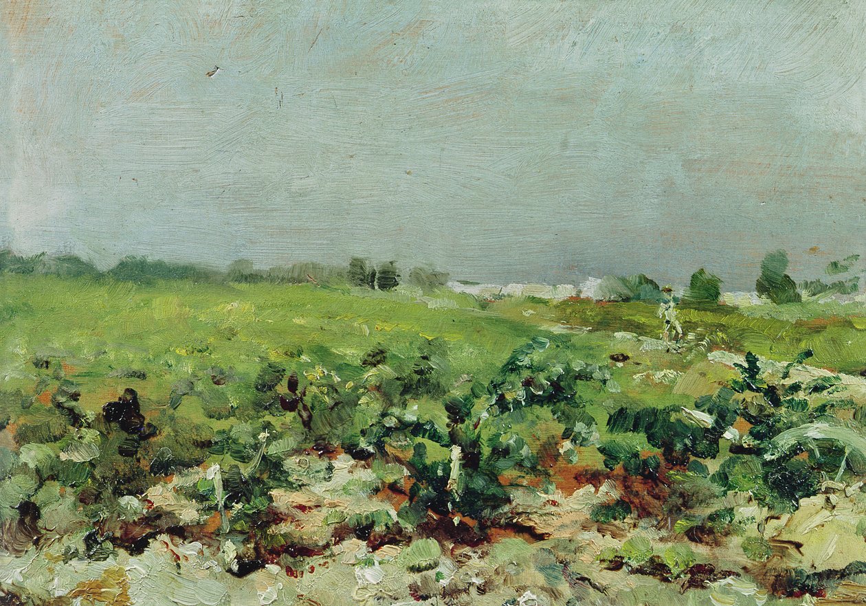 Celeyran, näkymä viinitarhalle, 1880 tekijältä Henri de Toulouse Lautrec