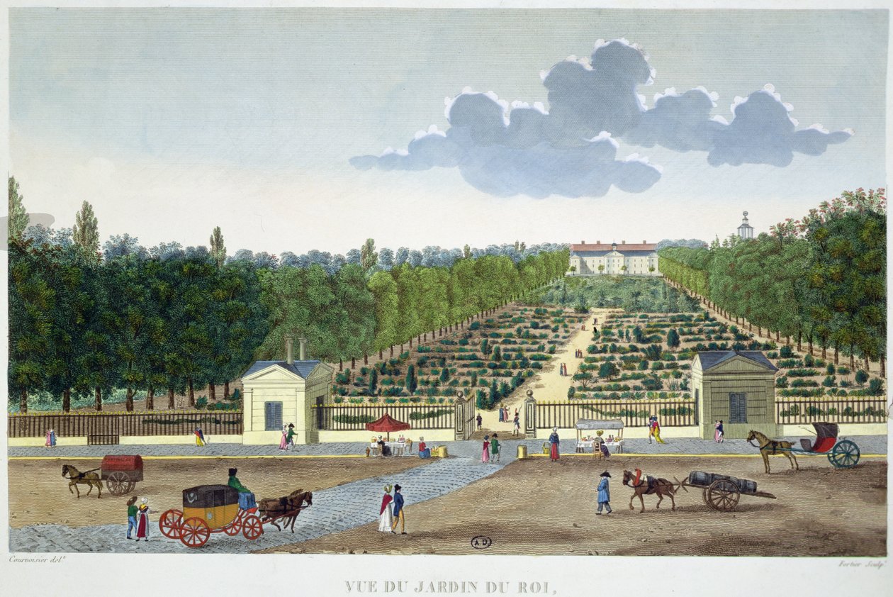 Näkymä Jardin du Roi -puistoon Pariisissa Austerlitzin sillalta, kaiverrus Claude Fortier (1775-1835) (värikaiverrus) tekijältä Henri (after) Courvoisier Voisin