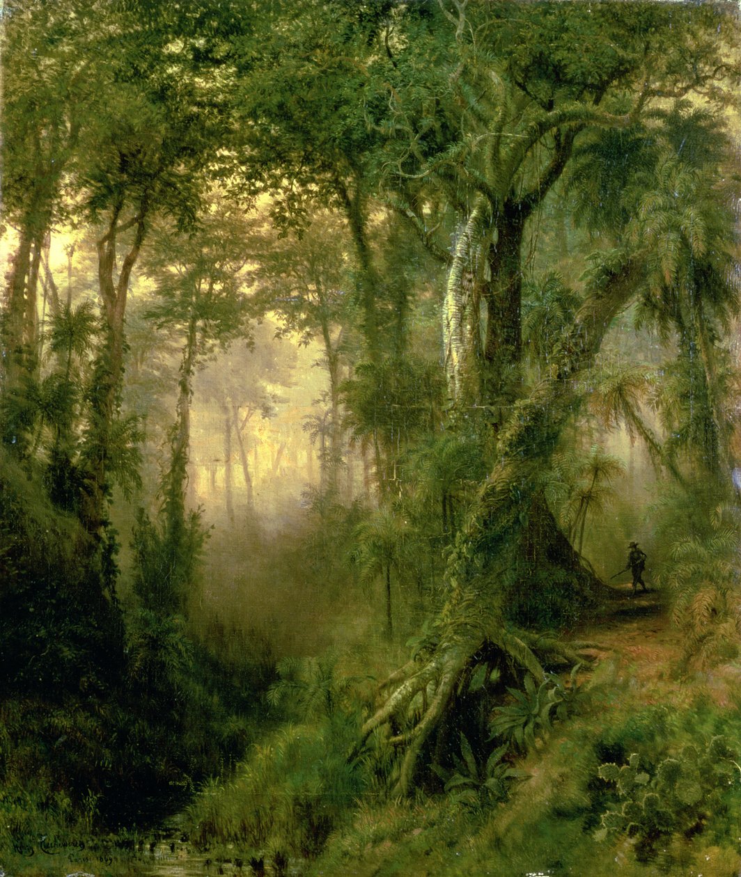 Metsästäjä Kuuban viidakossa, Sunrise tekijältä Henri Cleenewerck