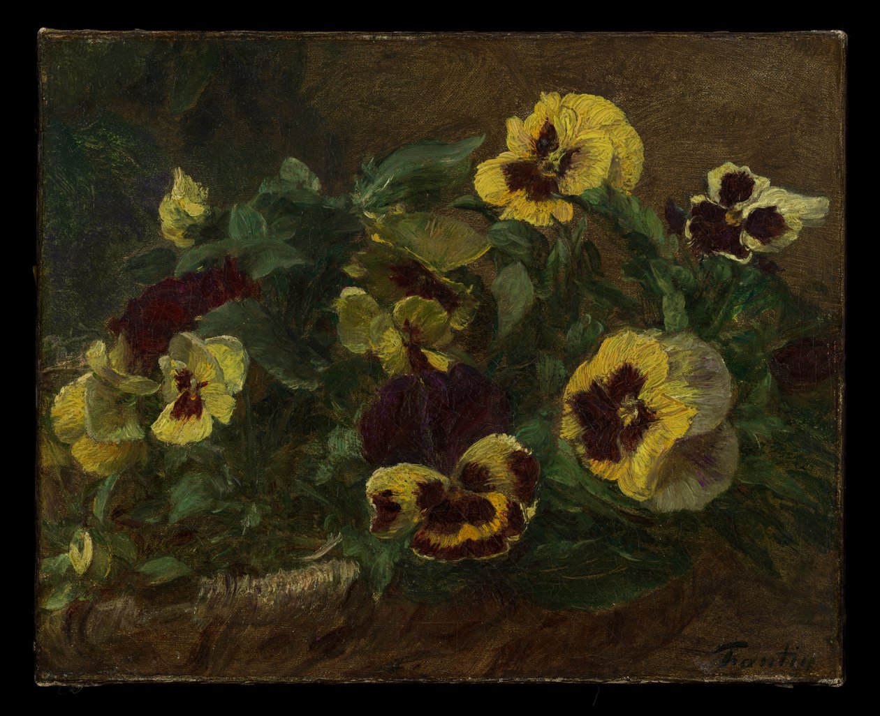 Pansies tekijältä Henri Fantin-Latour