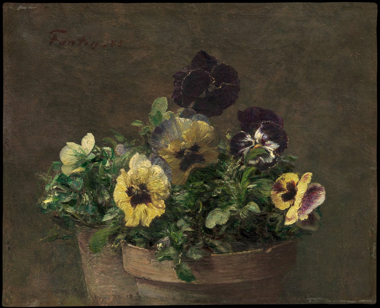 Orvokkeja ruukussa tekijältä Henri Fantin-Latour