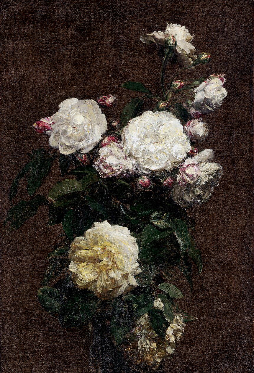 Valkoiset ruusut. Henri Fantin-Latourin (Fantin Latour) maalaus. tekijältä Henri Fantin-Latour