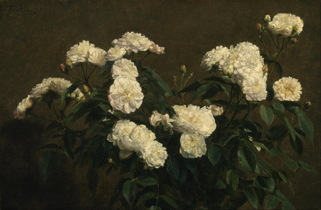 Still Life valkoisia ruusuja tekijältä Henri Fantin-Latour