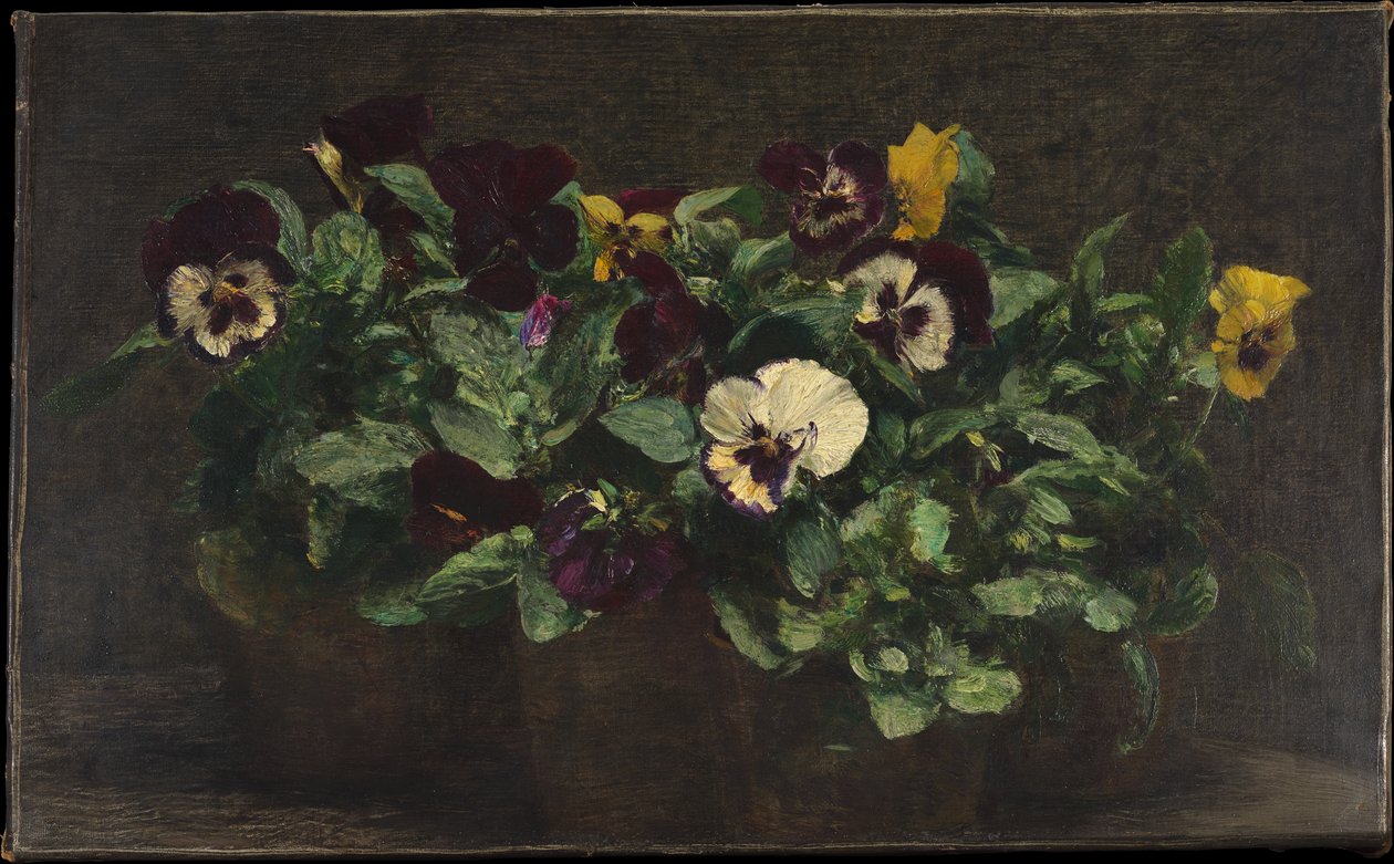 Asetelma ja orvokkeja tekijältä Henri Fantin-Latour