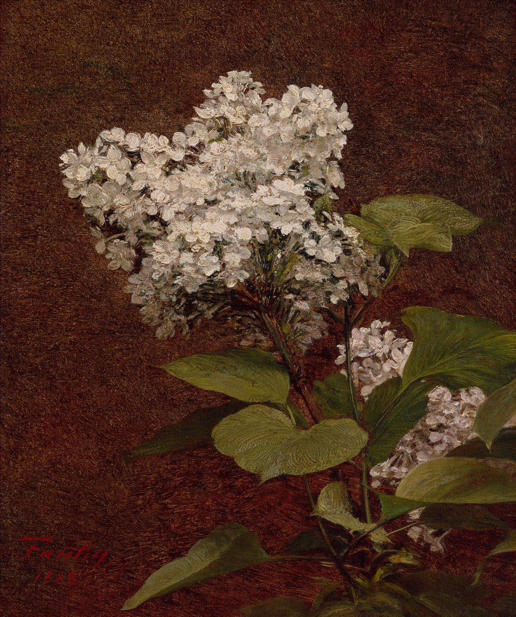 Valkoiset liljat tekijältä Ignace Henri Jean Fantin Latour
