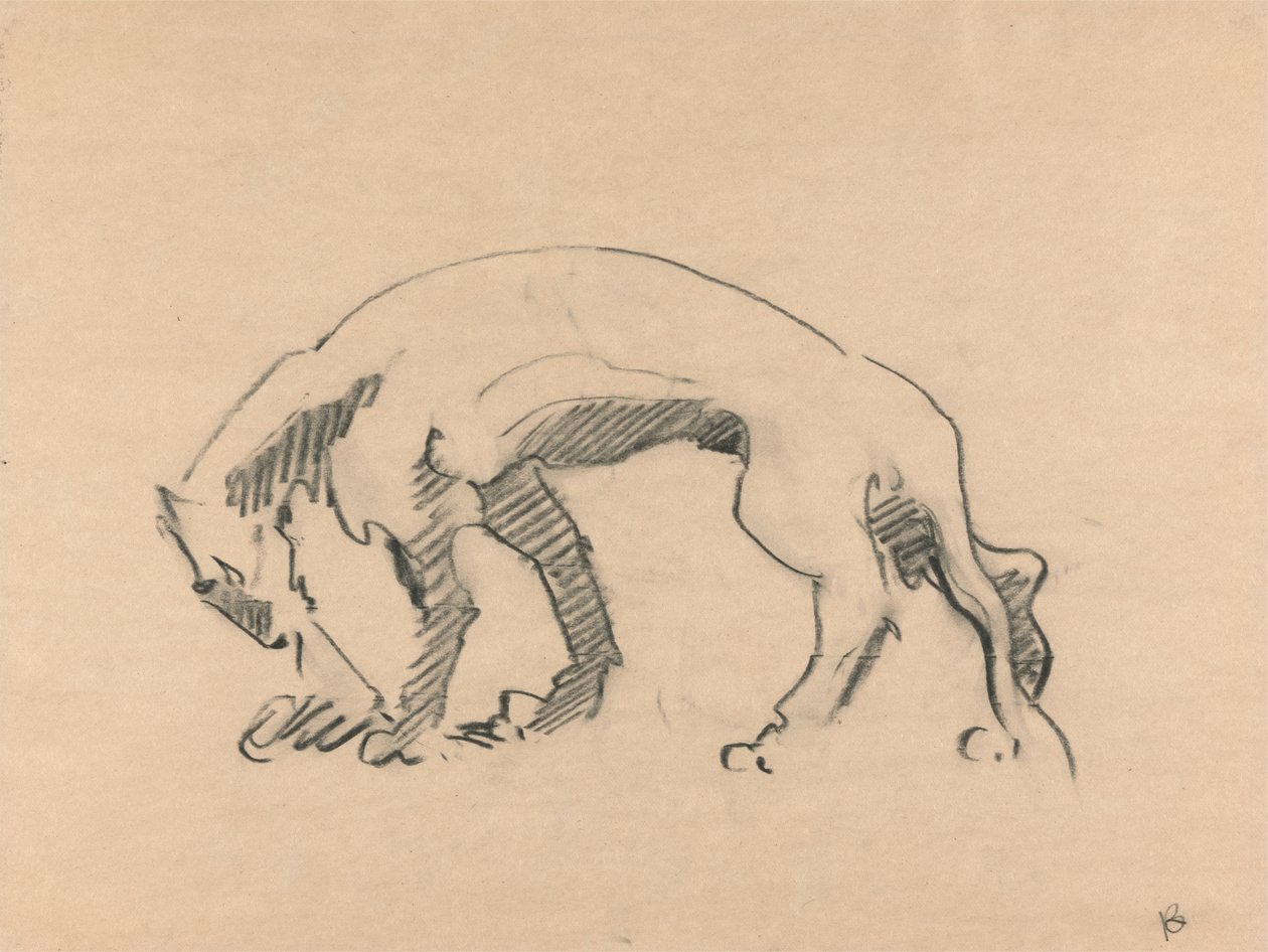 Lioness profiilissa tekijältä Henri Gaudier Brzeska