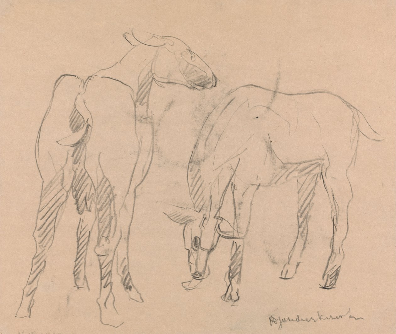 Kaksi vuohetta tekijältä Henri Gaudier Brzeska