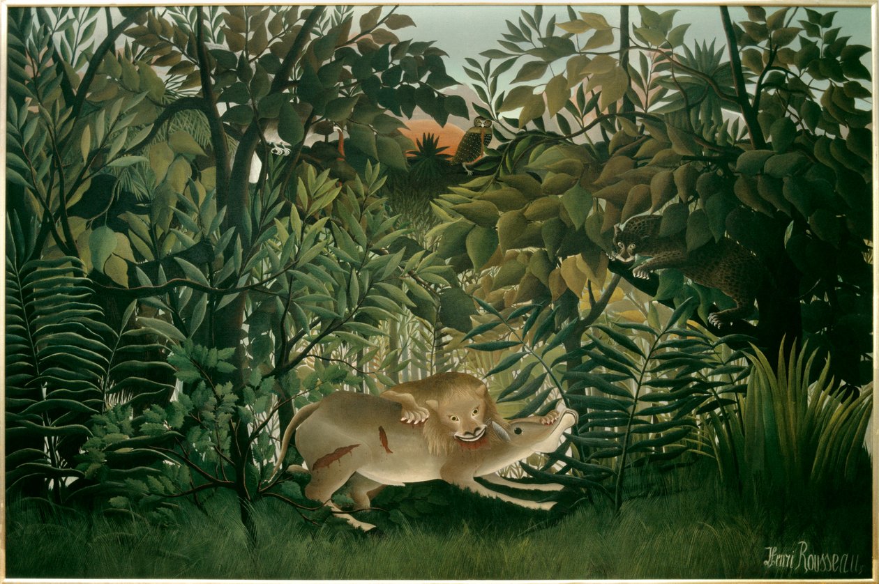 Nälkäinen leijona. Henri Rousseaun maalaus dit Le Douanier Rousseau (1844-1910), 1900-luku. Öljy kankaalle. Mitat: 2,00 x 3,00 m. Bale, Kuvataidemuseo tekijältä Henri J.F. Rousseau