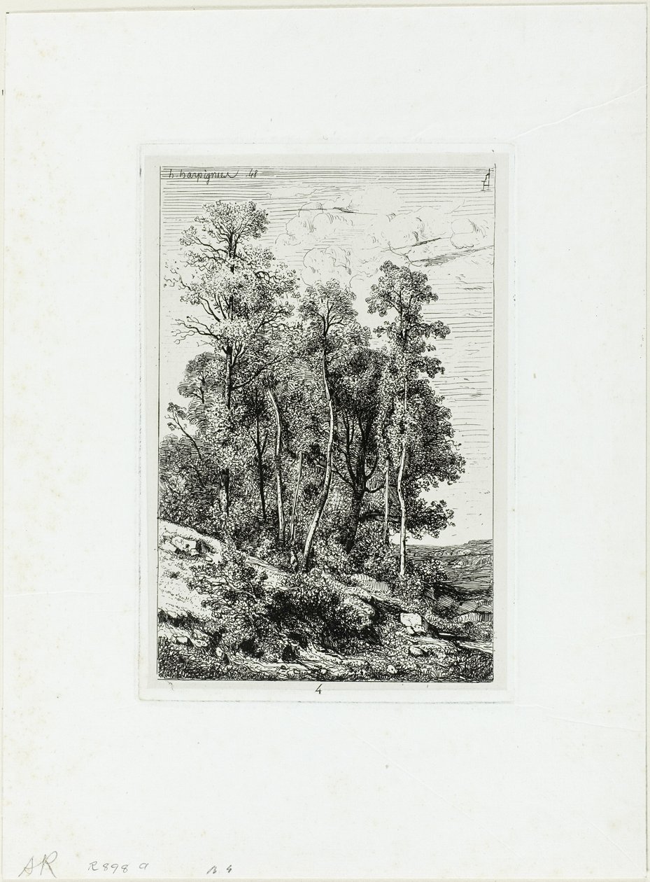 Koivut ja tammet tekijältä Henri-Joseph Harpignies