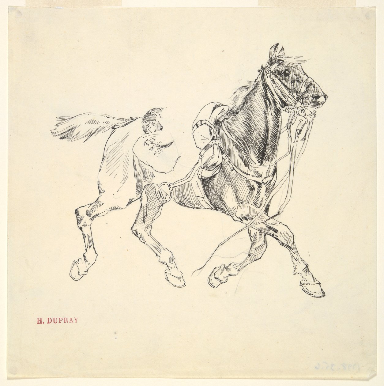 Cavall militar finès tekijältä Henri Louis Dupray