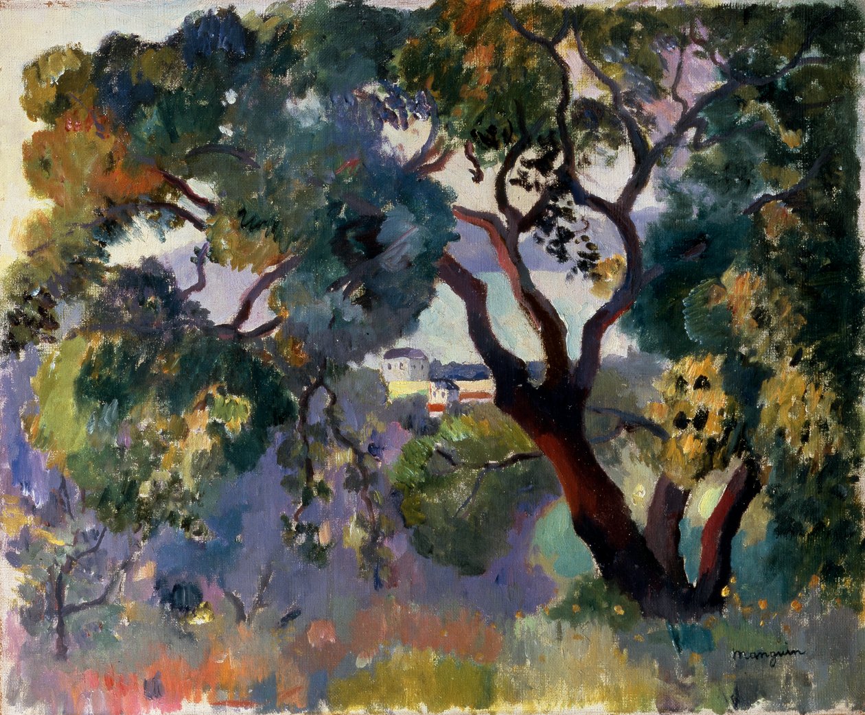"Maisema Saint-Tropezissa", 1905. tekijältä Henri Manguin