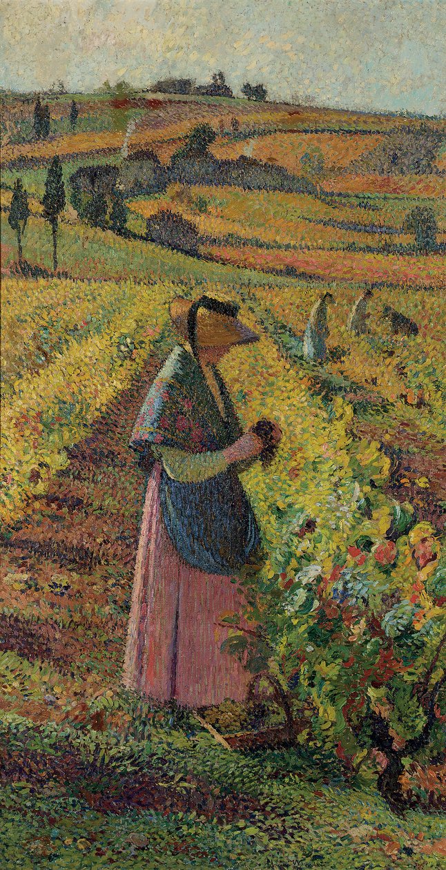 Sadonkorjuu; Rypäleen sato, n. 1925 tekijältä Henri Martin