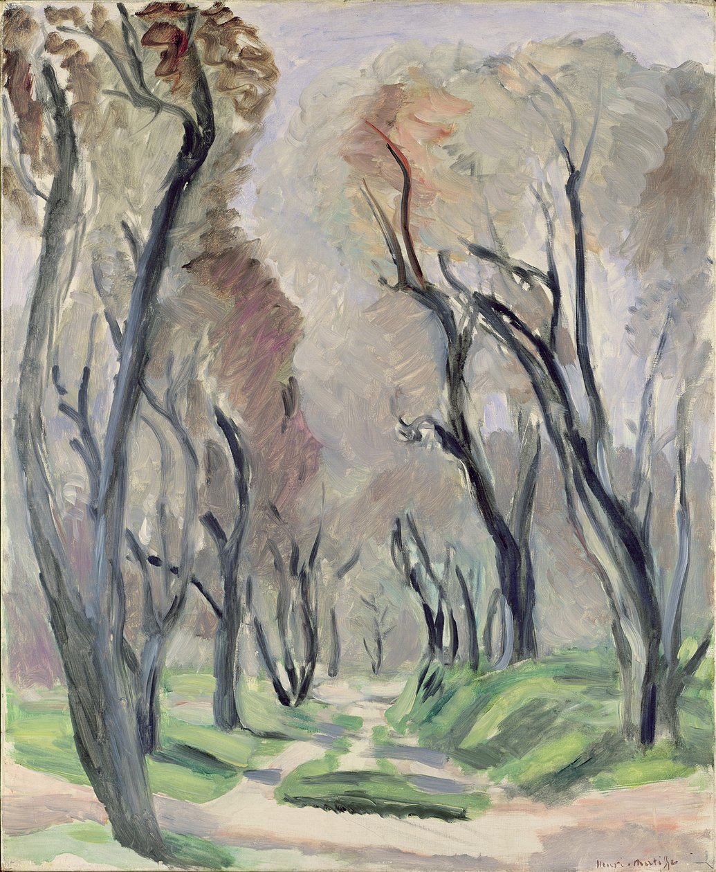 Avenue of Olive Trees tekijältä Henri Matisse