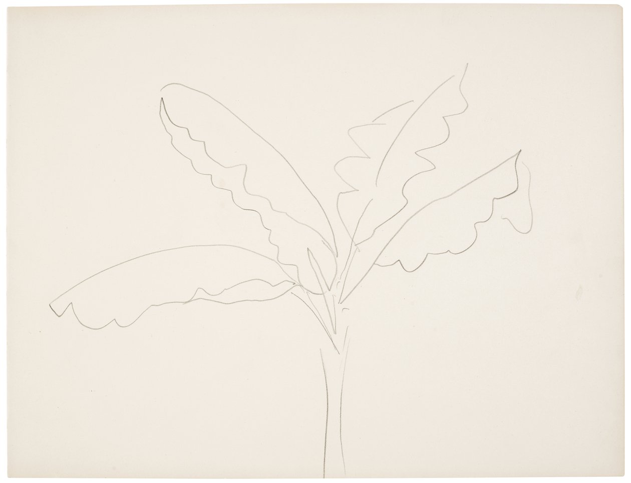 Banaanipuu (Tahiti) tekijältä Henri Matisse
