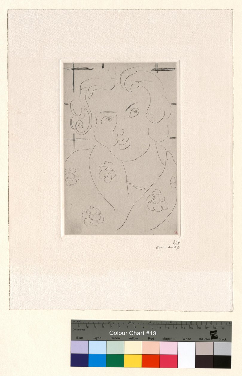 Rintakuva, kukallinen mekko tekijältä Henri Matisse