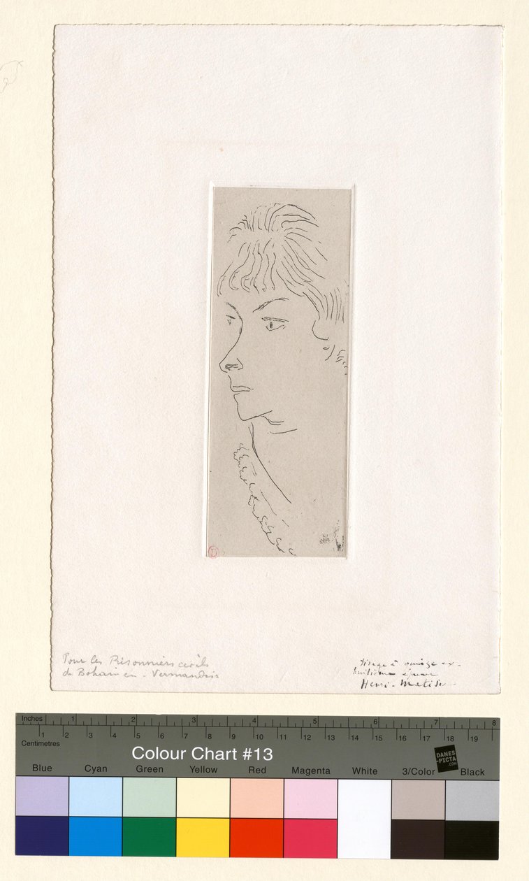 Fanny kolmen neljäsosan kuvakulmasta tekijältä Henri Matisse