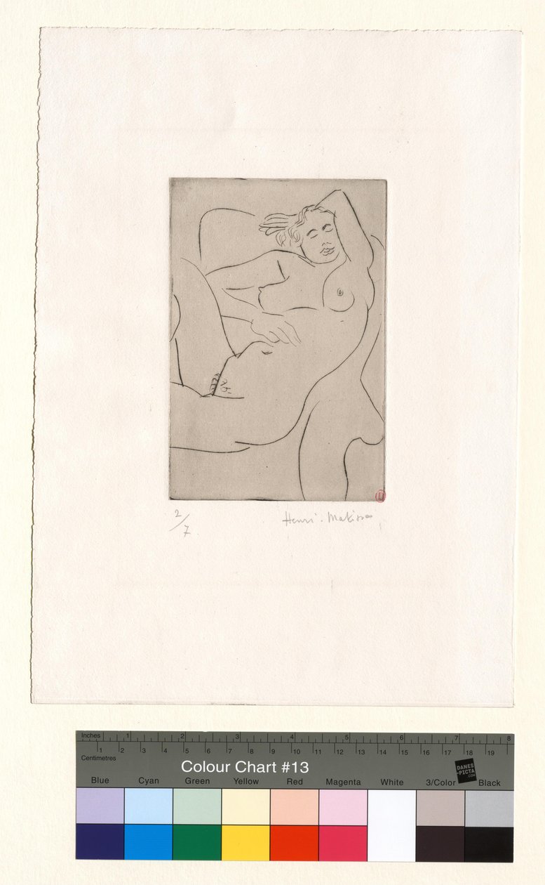 Nukkuva hahmo tekijältä Henri Matisse