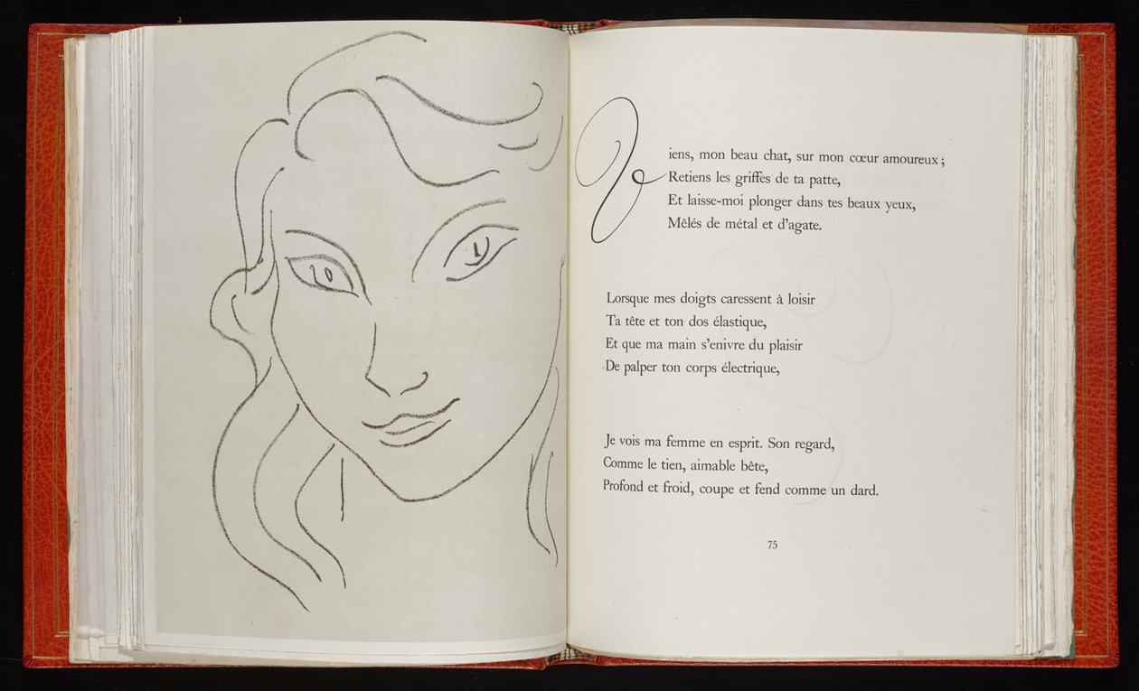 Pahan kukat tekijältä Henri Matisse