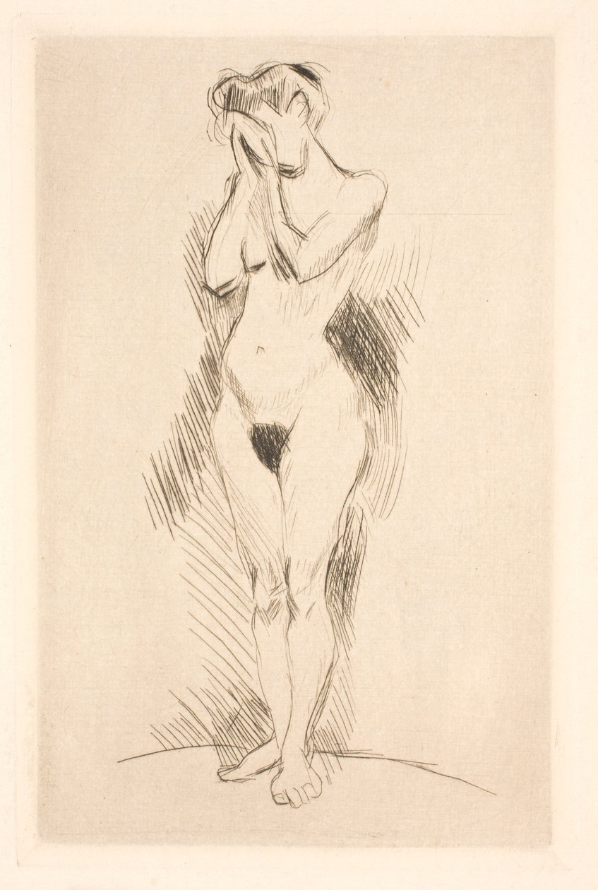 Ensimmäinen poseeraus tekijältä Henri Matisse