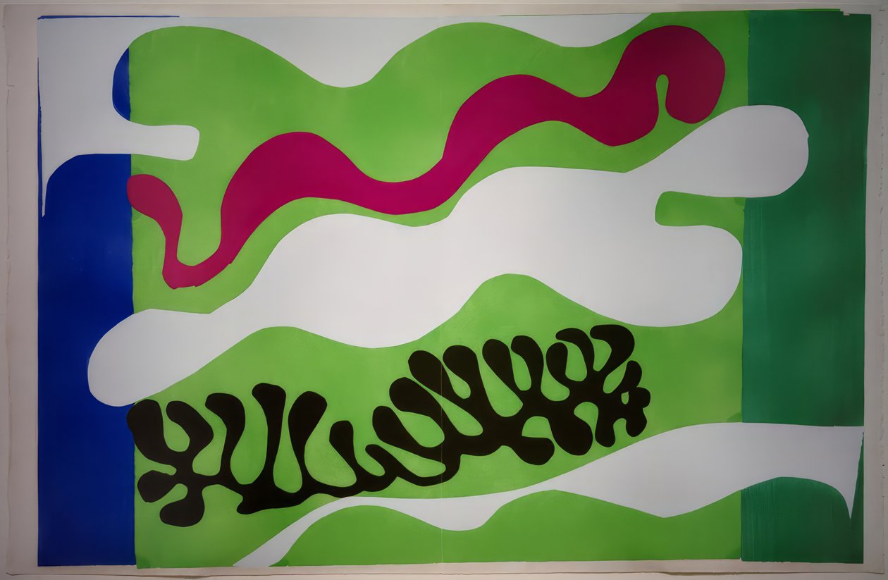 Le Lagon II / Jazz tekijältä Henri Matisse