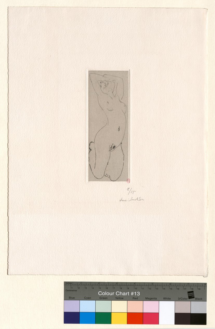 Polvillaan ja selkä kaarevana tekijältä Henri Matisse