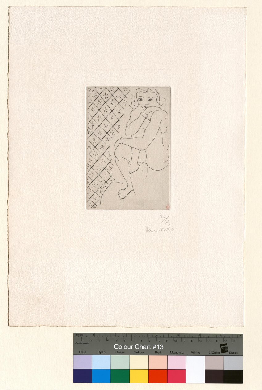 Istuva alaston tähtikuvioisten laattojen taustaa vasten tekijältä Henri Matisse