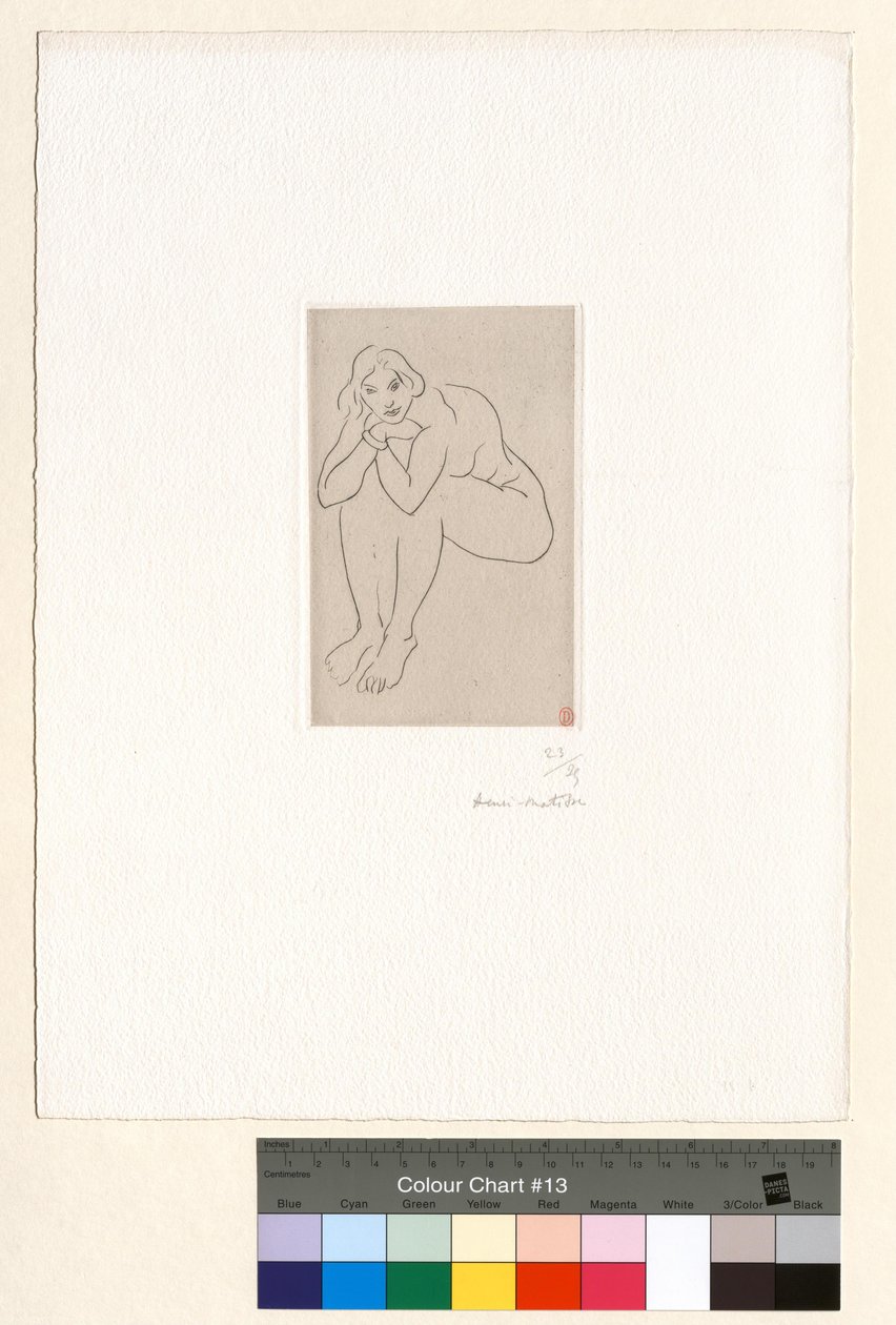 Istuva alaston, ylävartalo polviin nojaten tekijältä Henri Matisse