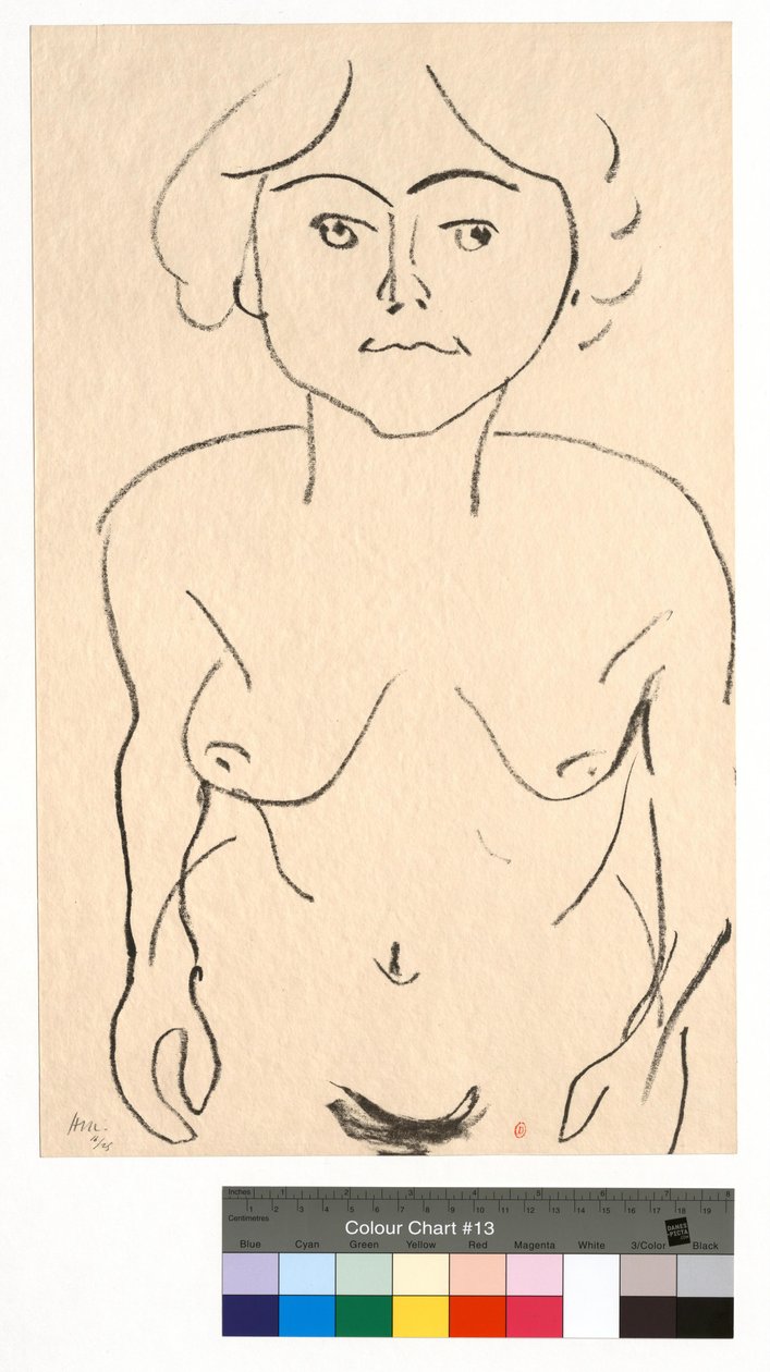 Naisalaston edestä, ylhäältä nähtynä tekijältä Henri Matisse