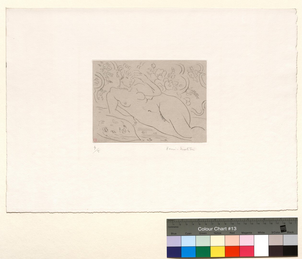 Alasti, kukkakuvioinen sisustus tekijältä Henri Matisse