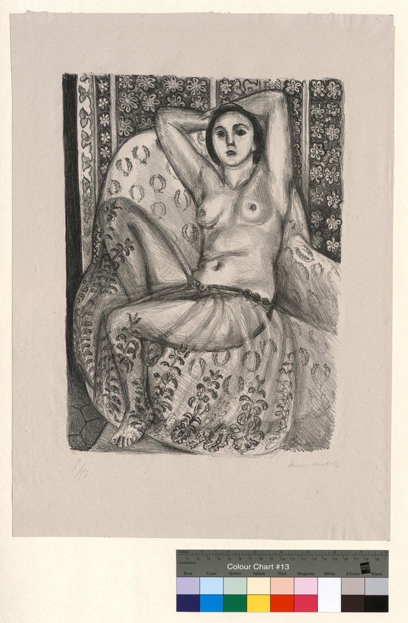 Istuva odaliski, jolla on tyllihame tekijältä Henri Matisse