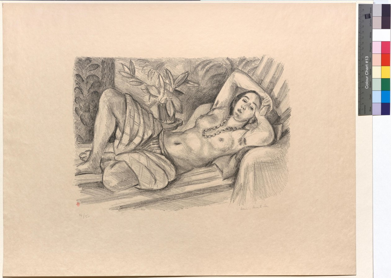 Odaliski ja magnolia tekijältä Henri Matisse