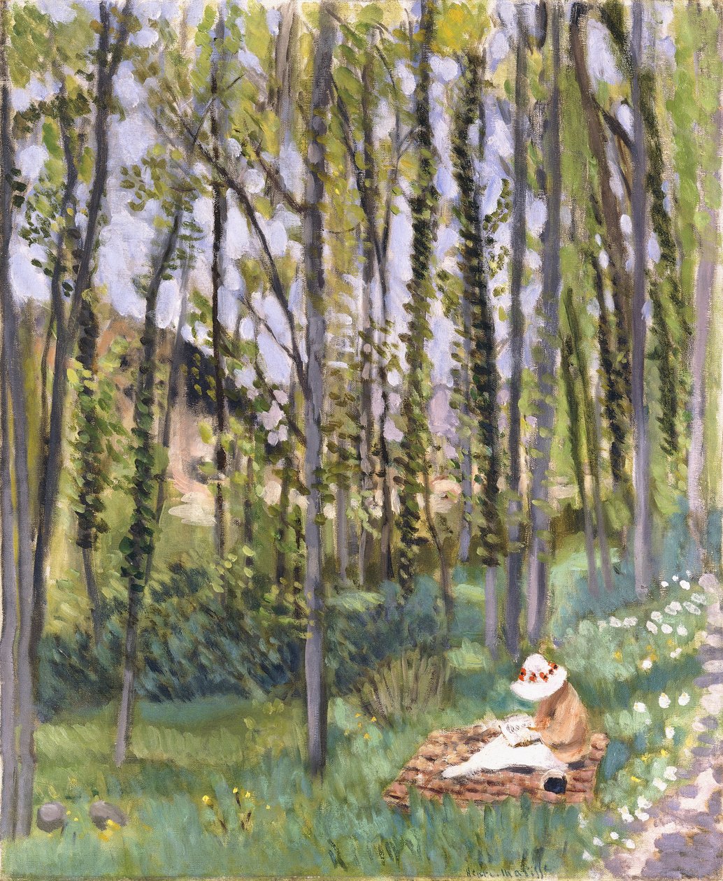 Aluskasvillisuus tekijältä Henri Matisse