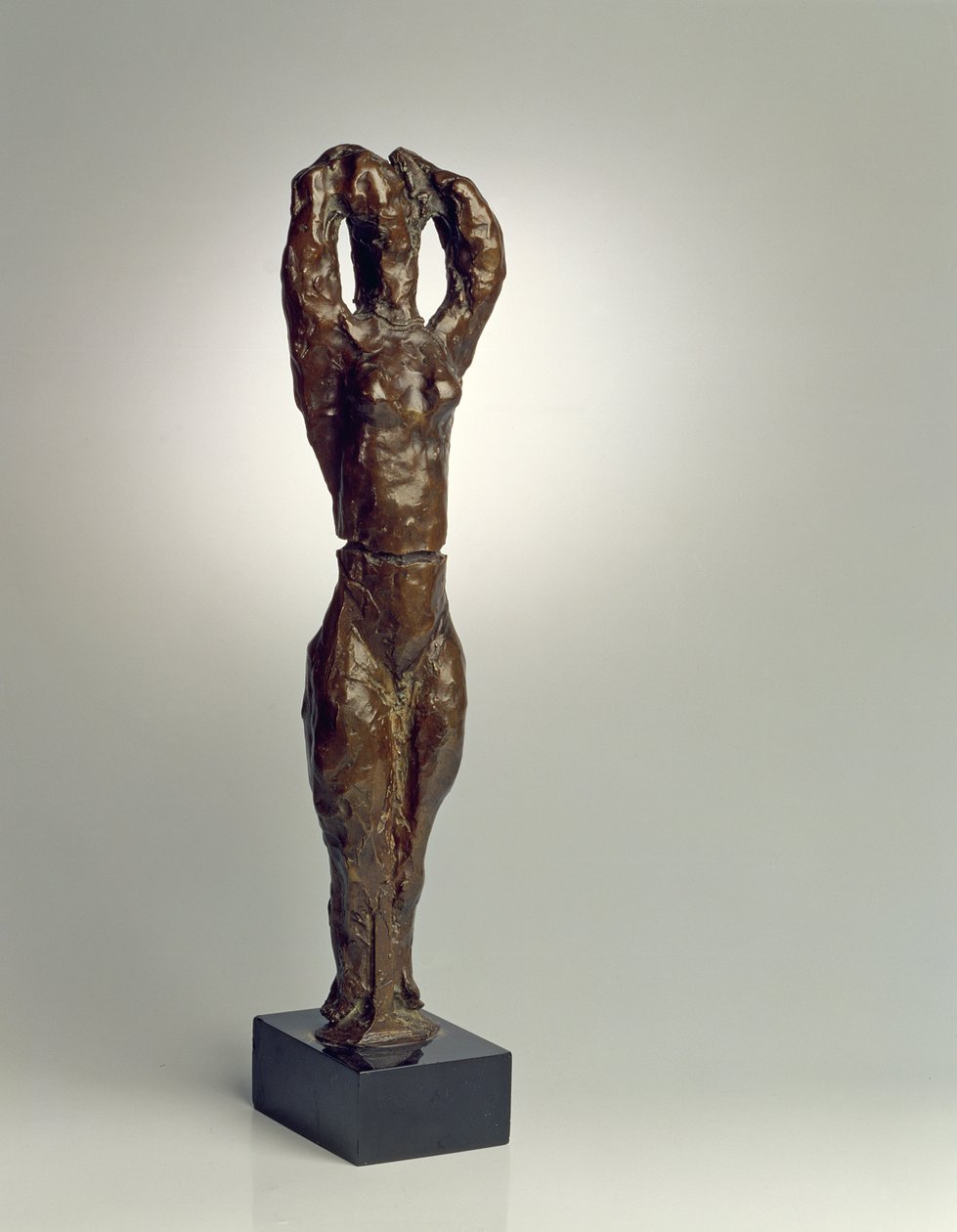 Seisova alaston, Katia tekijältä Henri Matisse