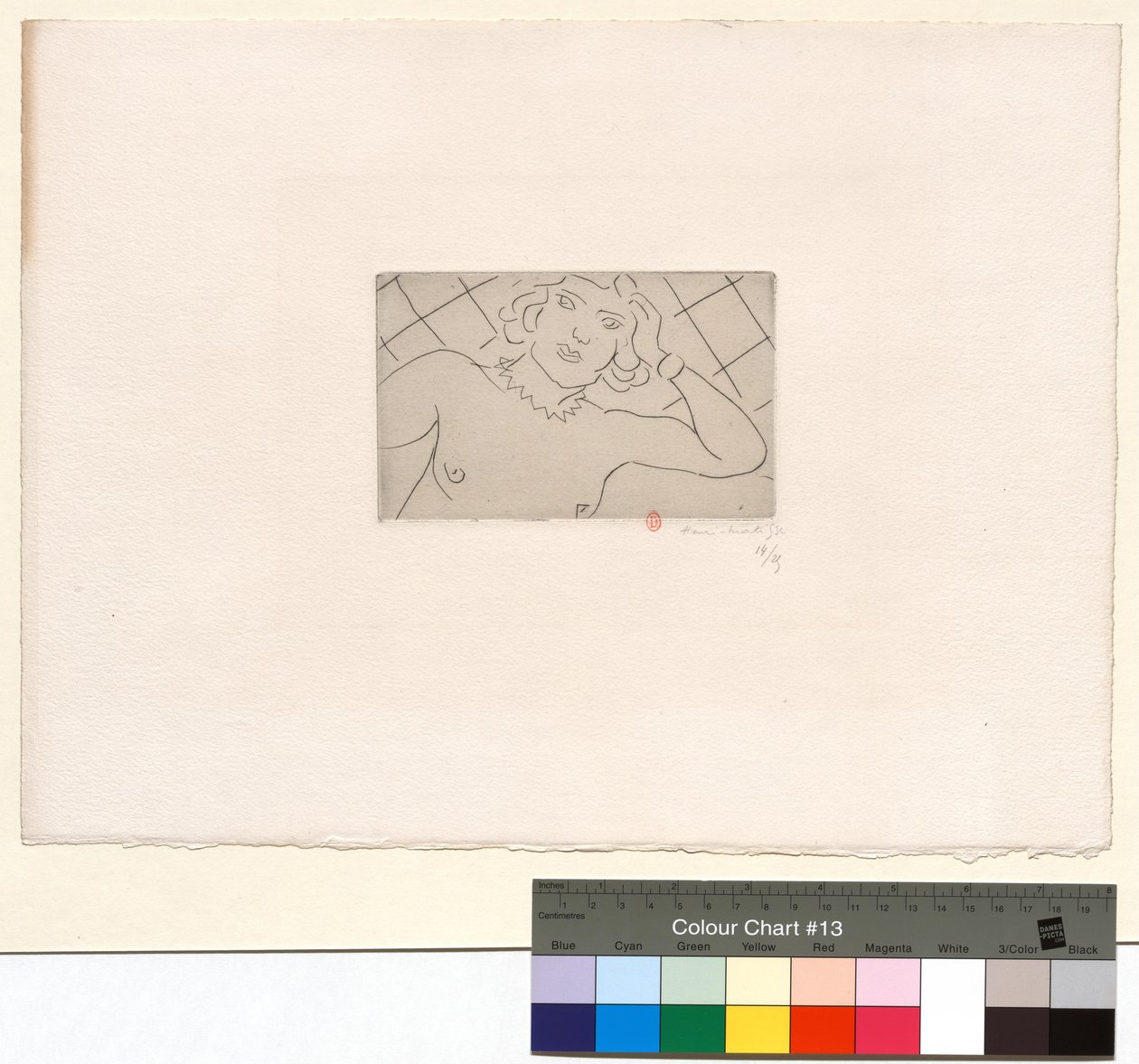 Rintakuva, rombikuvioinen tausta tekijältä Henri Matisse