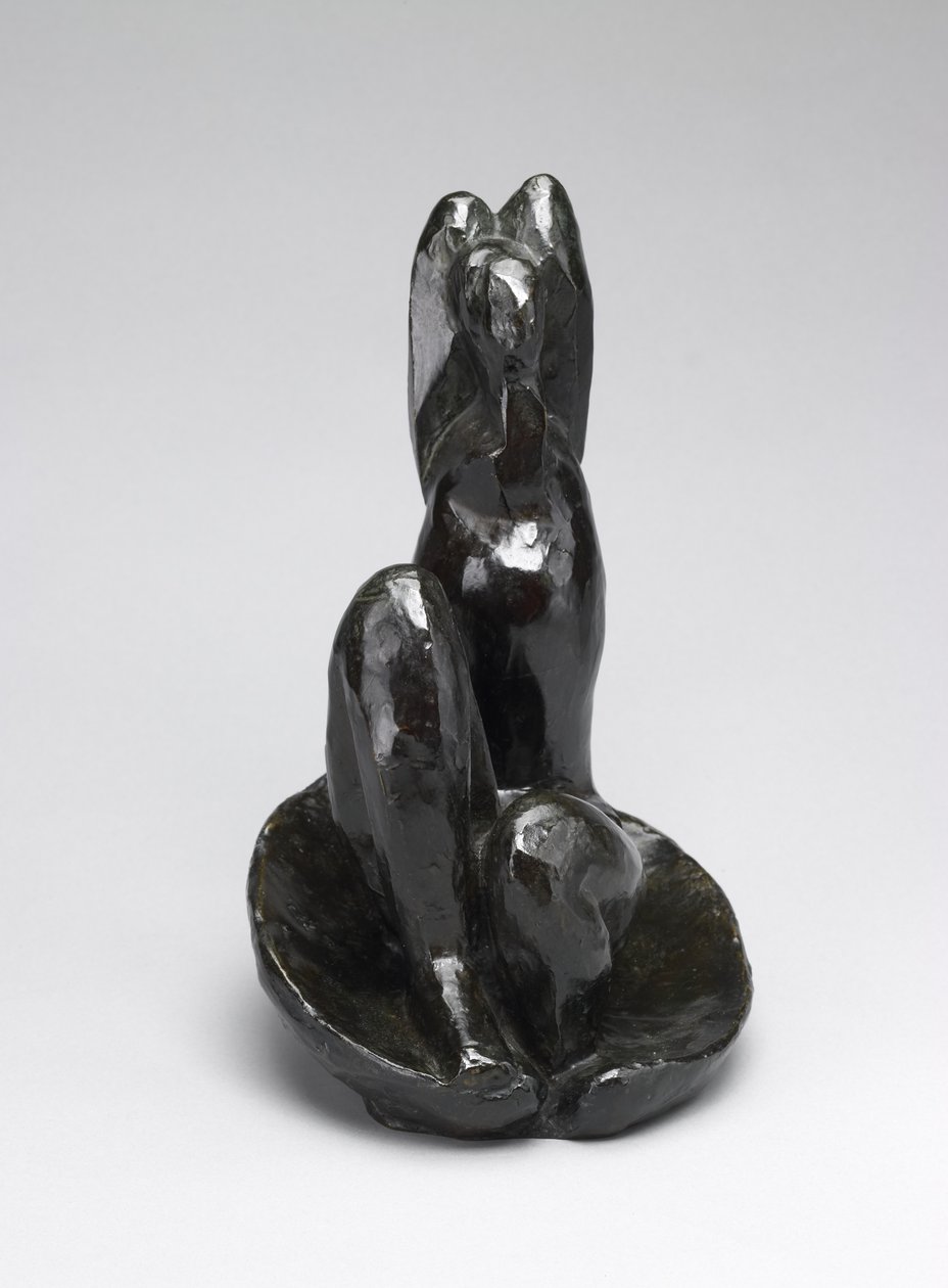 Venus kuoressa I tekijältä Henri Matisse