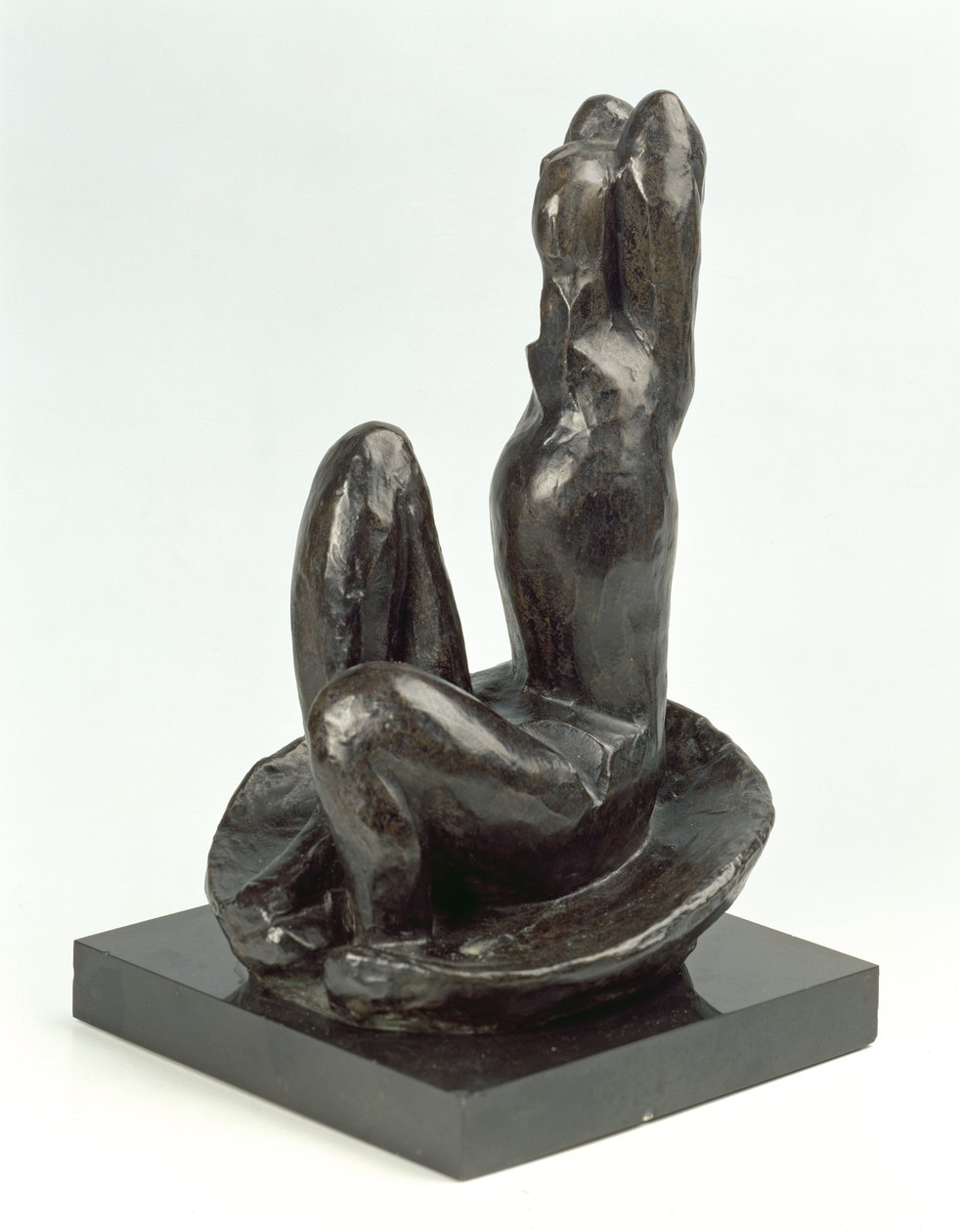 Venus kuoressa I tekijältä Henri Matisse