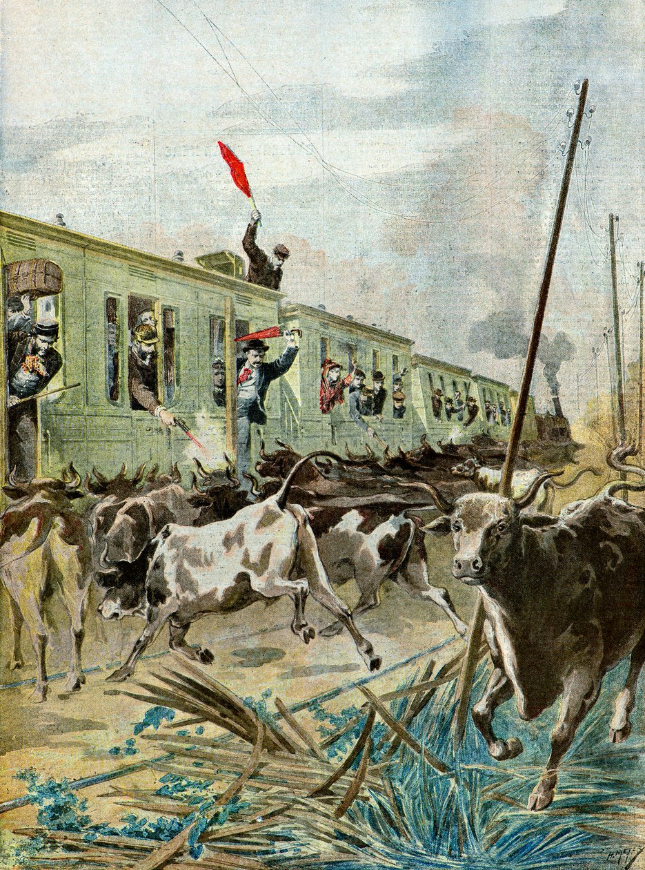 Härkälauman hyökkäämä juna,1895 (Kuvituskuva) tekijältä Henri Meyer