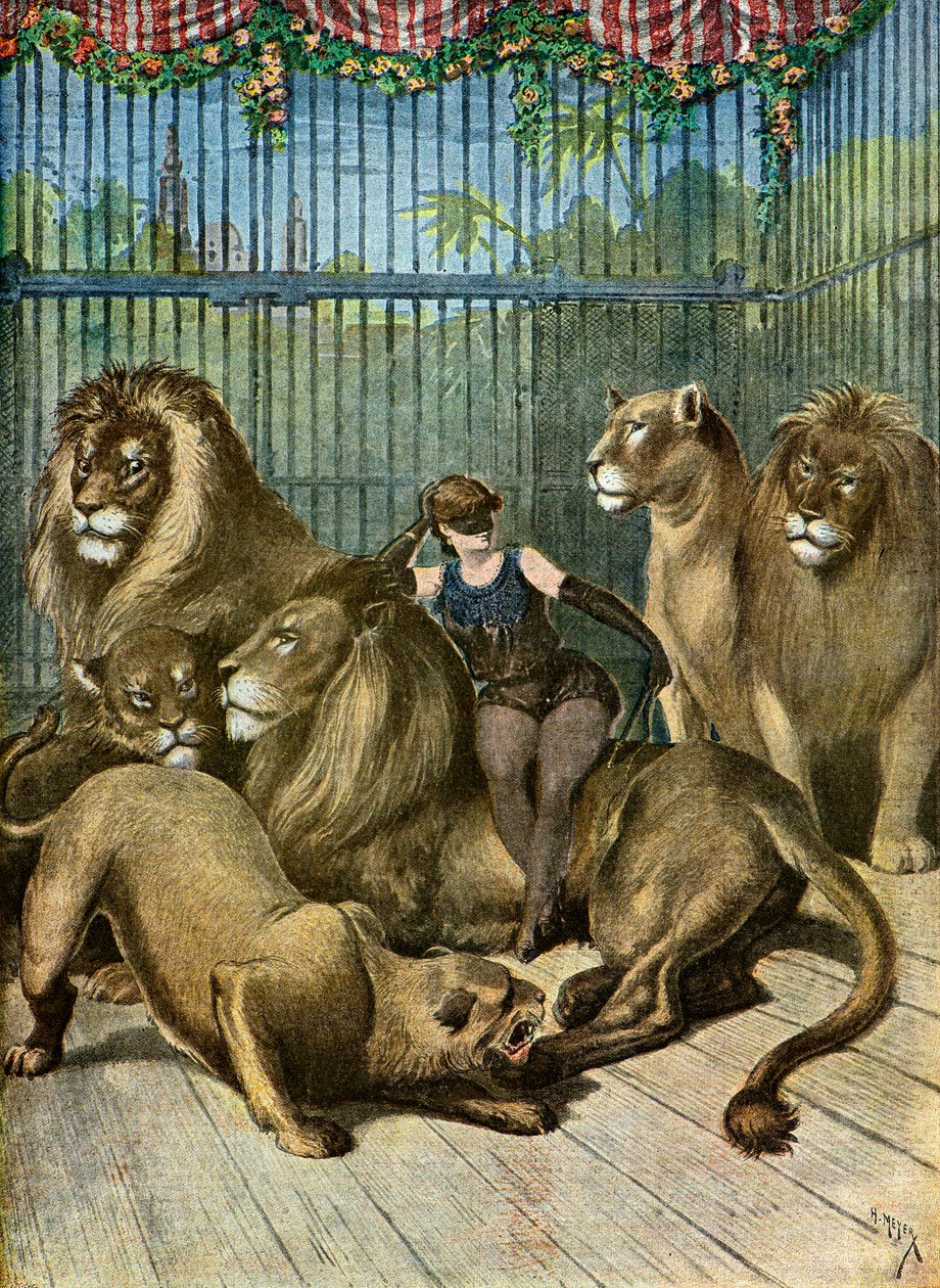 Muotokuva X***:n kreivittärestä ja hänen leijonistaan,1895 (kuvitus) tekijältä Henri Meyer