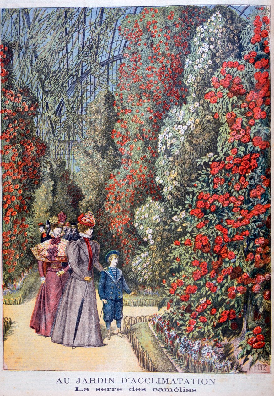 Kamelioiden kasvihuone, eläintarhat, Pariisi, 1897 tekijältä Henri Meyer