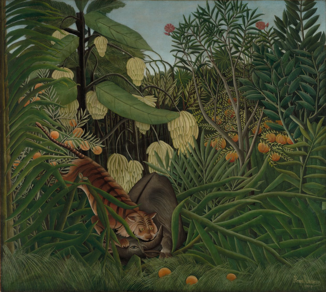 Taistelu tiikerin ja puhvelin välillä tekijältä Henri Rousseau
