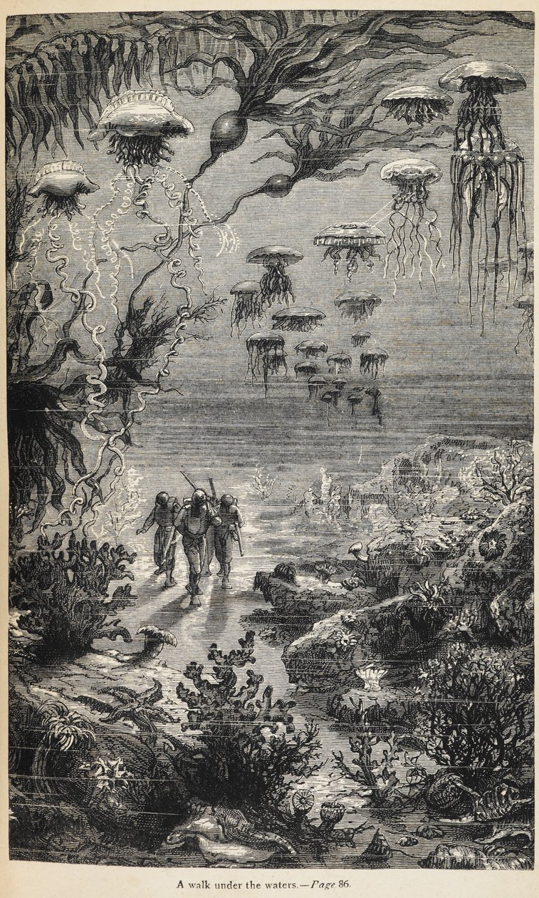 Jules Vernen kirjoittama kuvitus kappaleeseen "20 000 Leagues Under the Sea". tekijältä Henri Theophile Hildibrand
