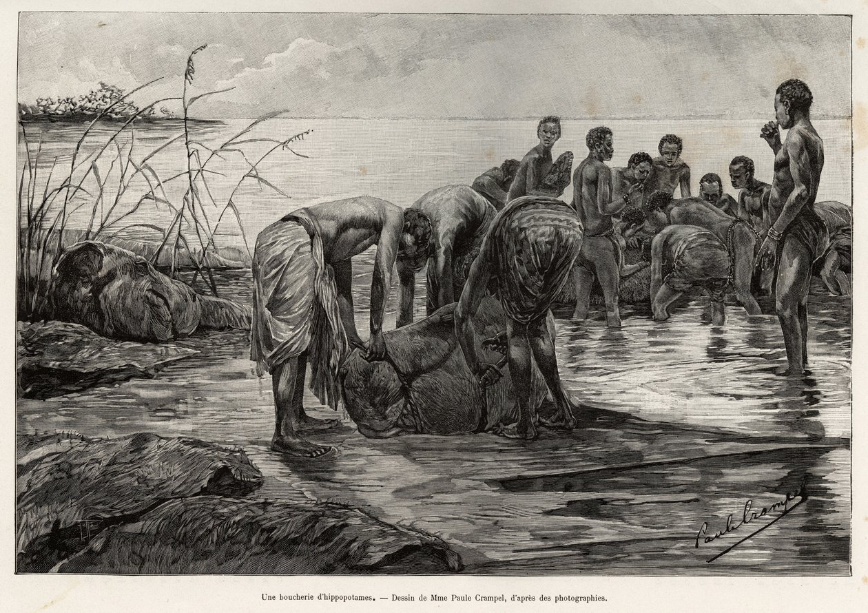 Virtahepo lihakauppa Keski-Afrikan joen rannalla. Henri Thiriatin kaiverrus havainnollistamaan Albert Neboutin (1862-1939) tarinaa "La mission Crampel", vuonna 1890 Le tour du Mondessa 1892, ohjaajana Edouard Charton (1807-1891), Hachette, Pa. tekijältä Henri Thiriat