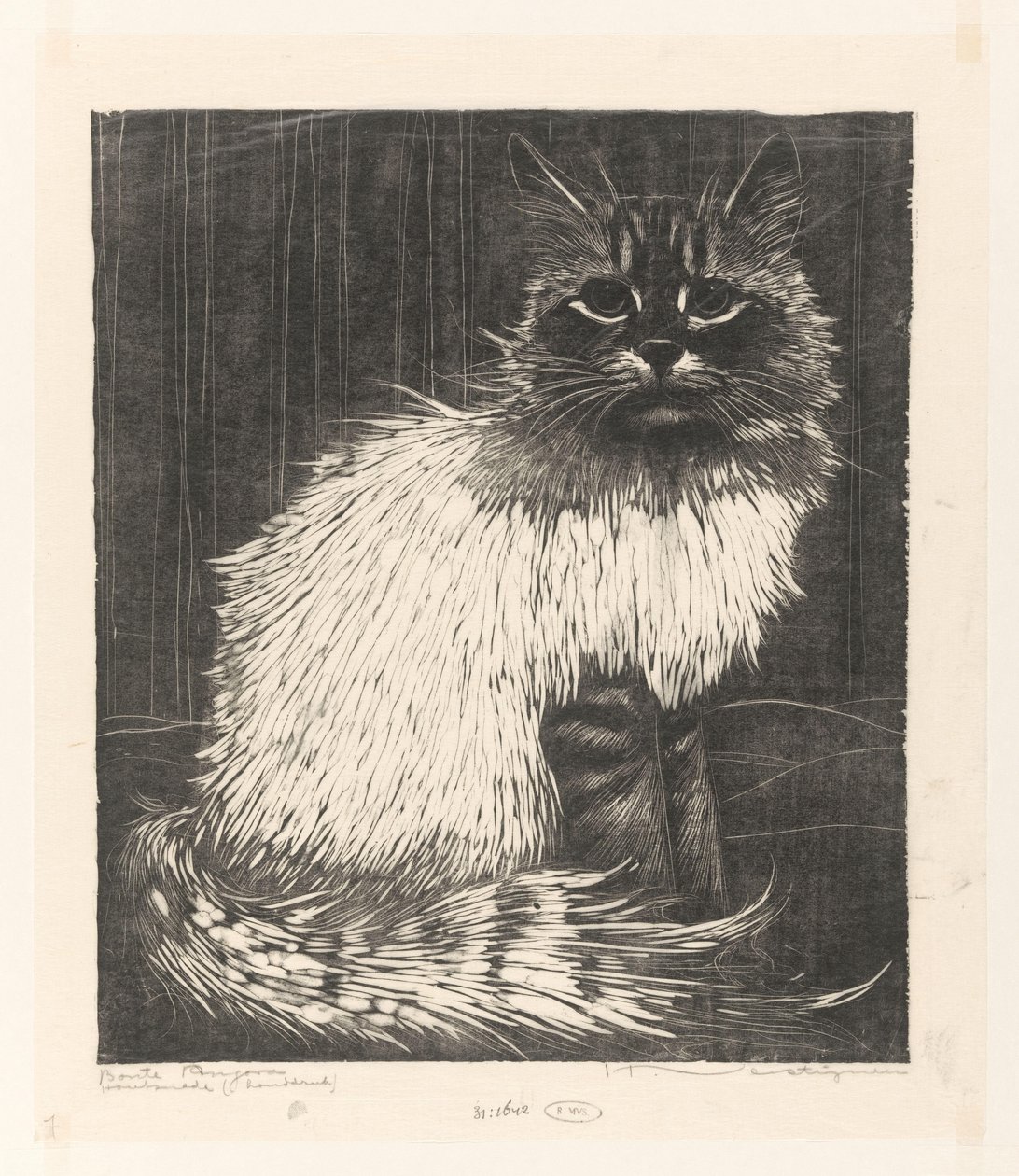 Bonte Angora (alkuperäinen nimi esineessä) tekijältä Henri Verstijnen (signed by artist)