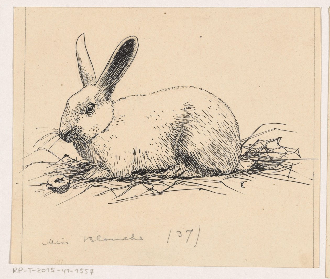 Kani tekijältä Henri Verstijnen (signed by artist)