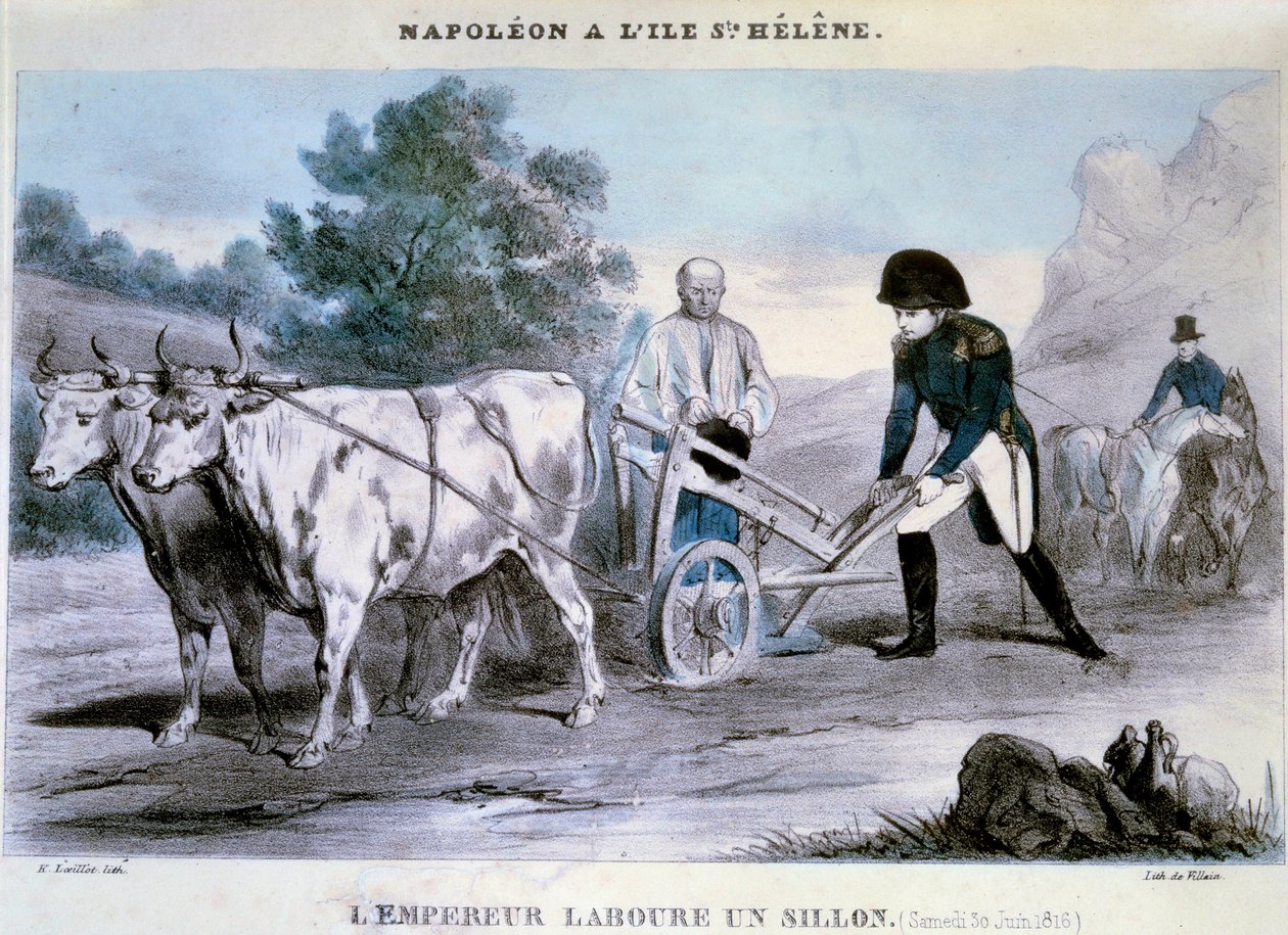 Napoleon I (1769-1821) pyhä Helena: keisari kyntää vaon (30.06.1816) Pahiksen litografia. 1816 Ile d