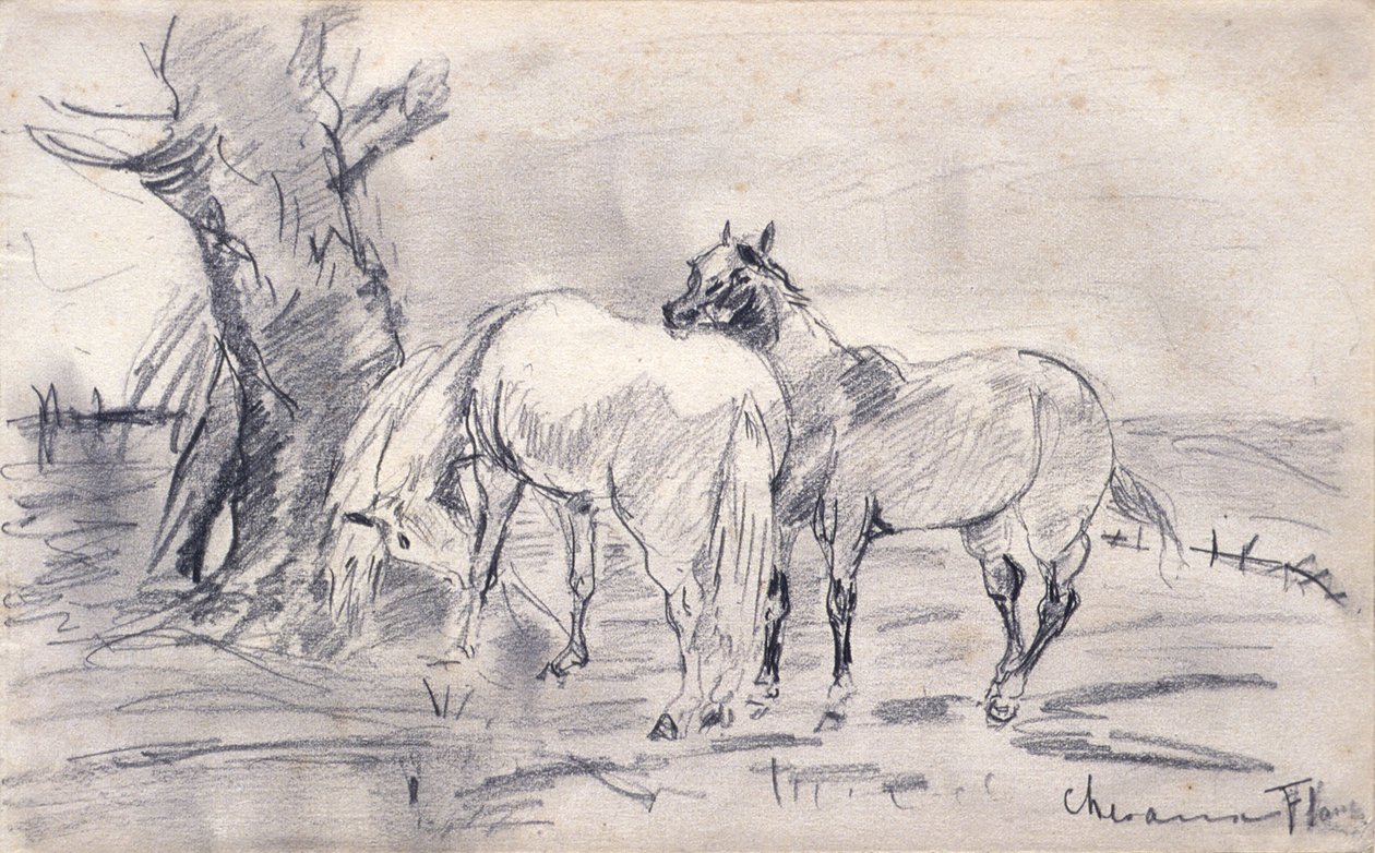 Hevosia tekijältä Henri de Toulouse-Lautrec